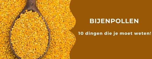 10 dingen die je moet weten over bijenpollen