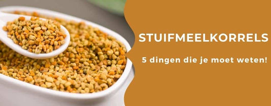 Een blogpost over 5 dingen die je moeten over stuifmeelkorrels