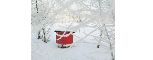 Hoe houden bijen zich warm tijdens de winter?