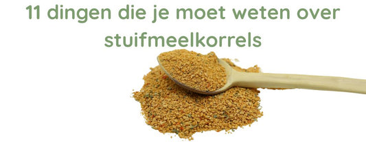 11 dingen die je moet weten over stuifmeelkorrels