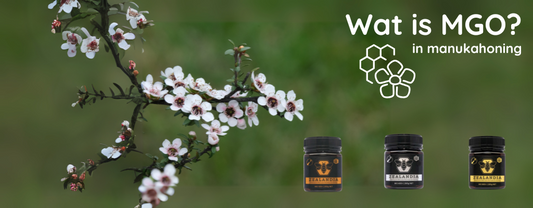 Wat is MGO in Manuka honing?