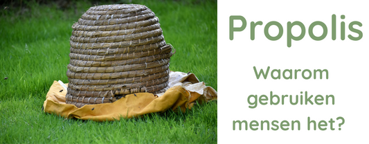 Waarom gebruiken mensen propolis?