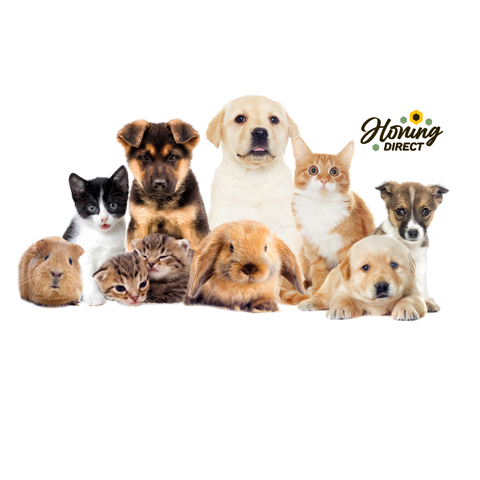 Moment voor je huisdier - natuurlijke verzorging met aandacht