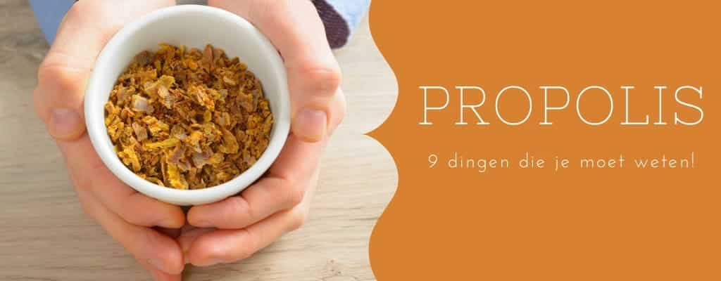 9 dingen die je moet weten over propolis!