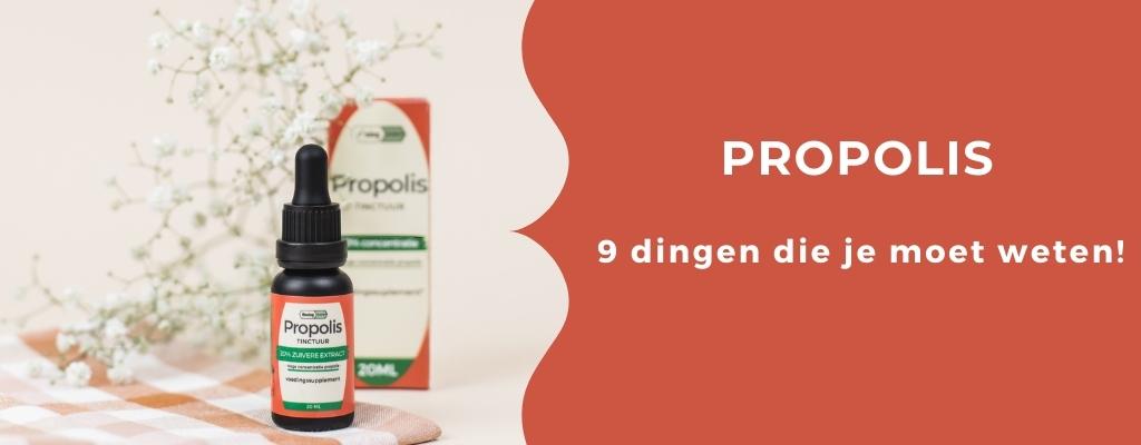 artikel over 9 dingen die je moet weten over propolis